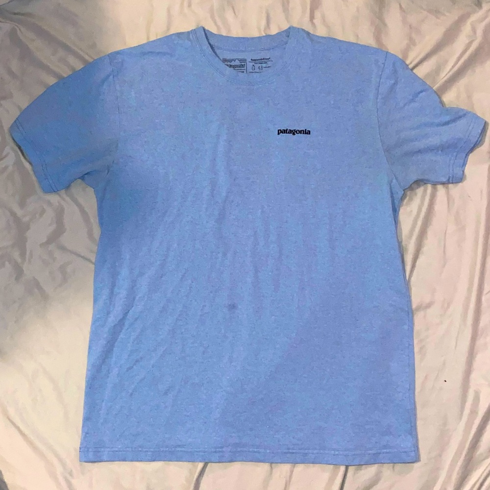 Patagonia t shirt